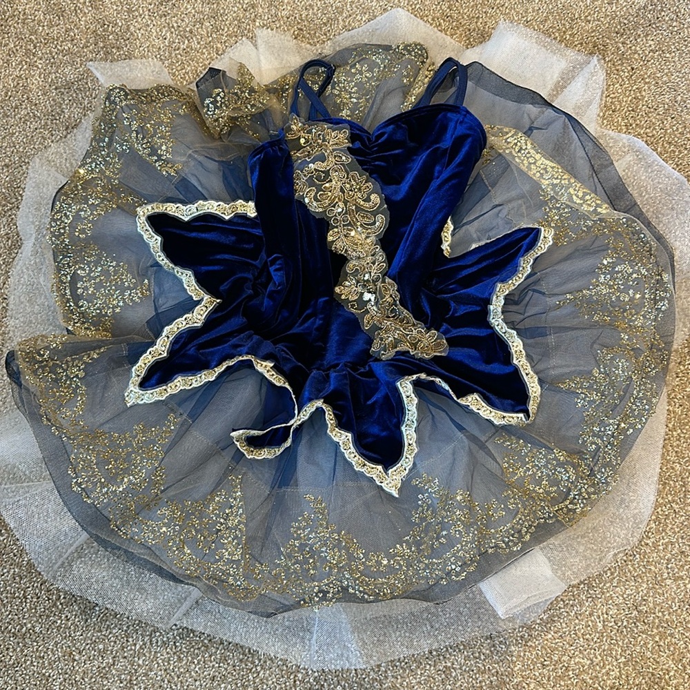 Royal Blue and Gold Velvet Ballet Costume